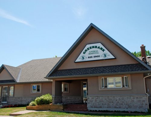 greenbank greenbank